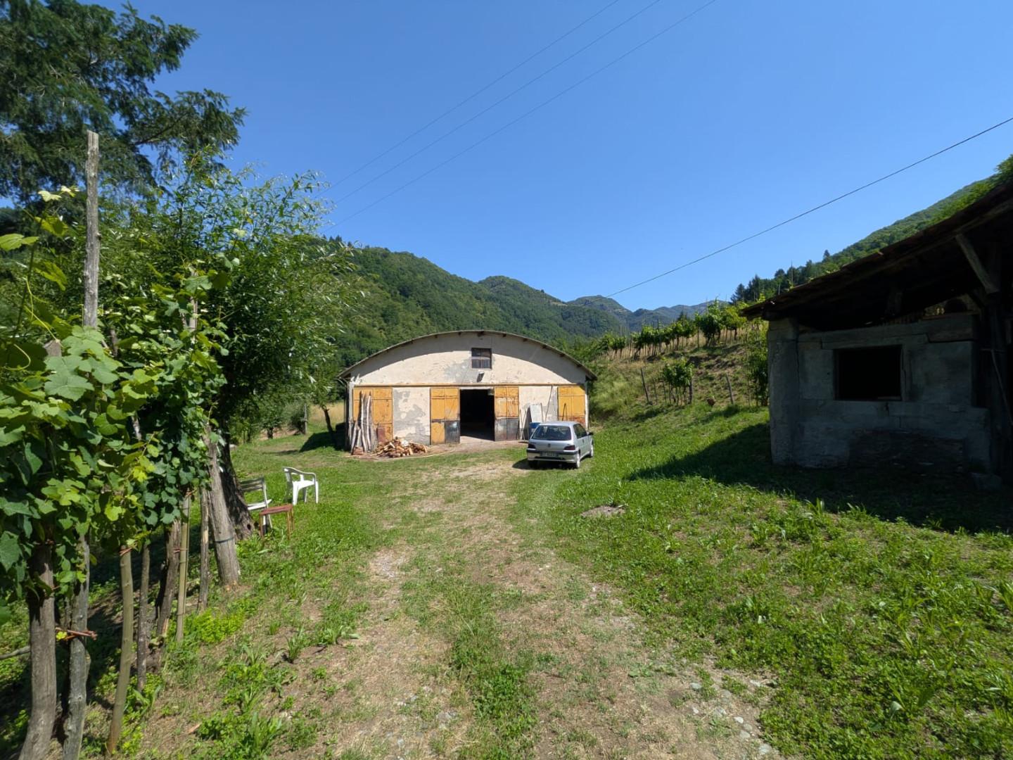 Foto annuncio 31