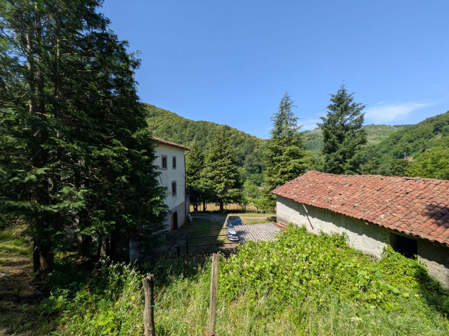 Foto annuncio 38