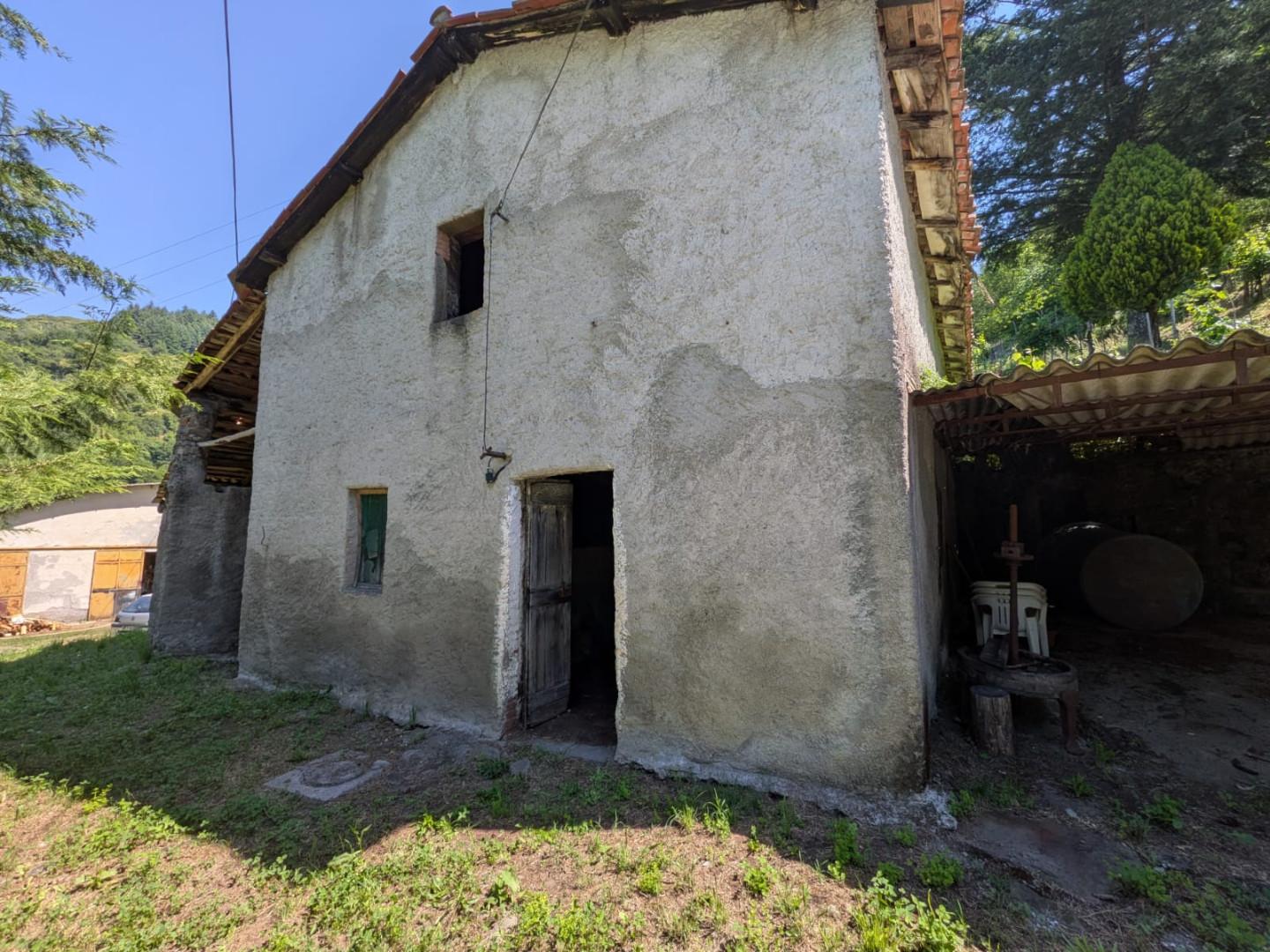 Foto annuncio 30