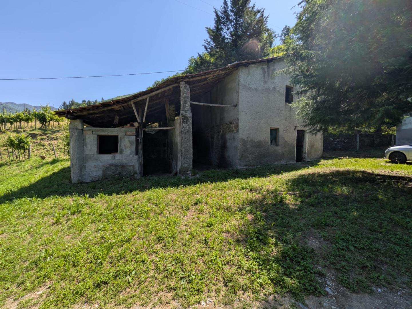 Foto annuncio 29