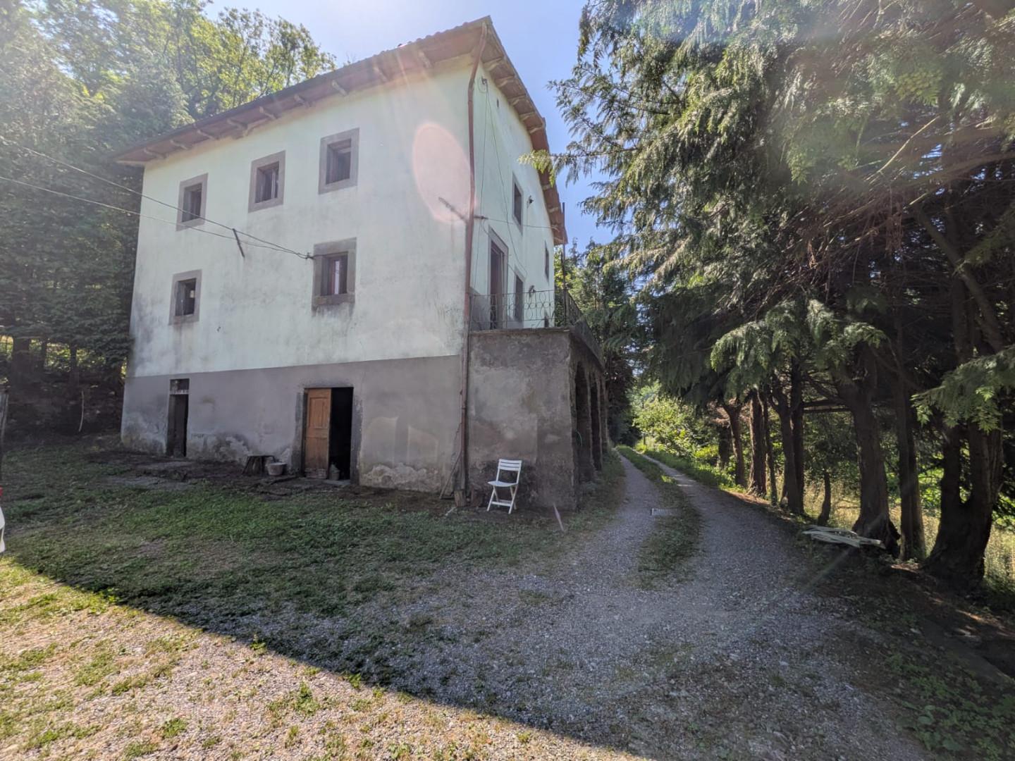 Foto annuncio 1