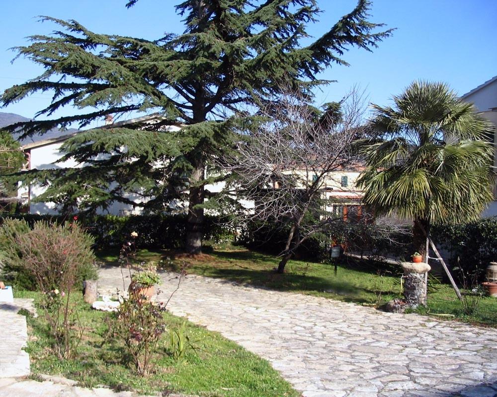 Foto annuncio 4