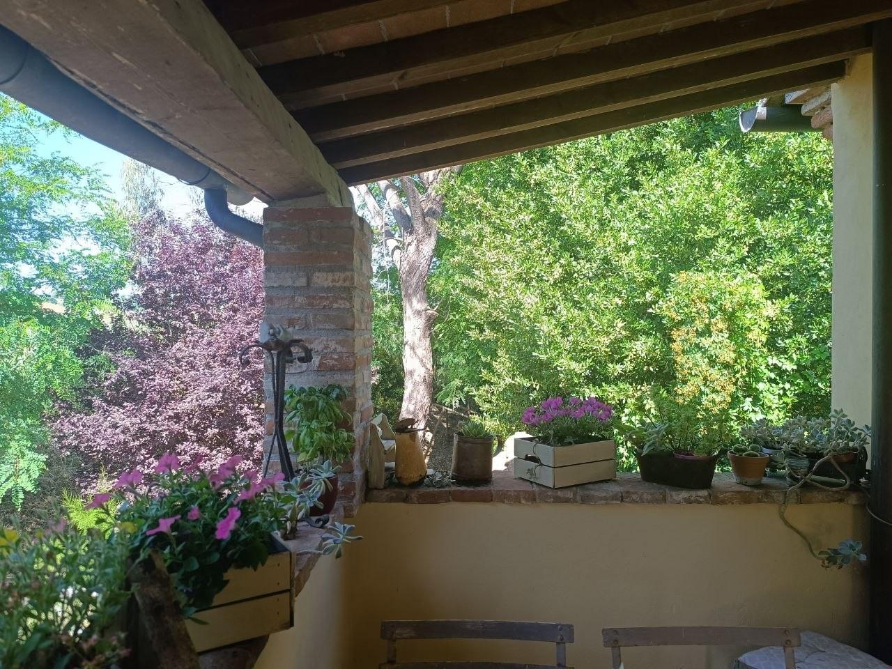 Foto annuncio 52