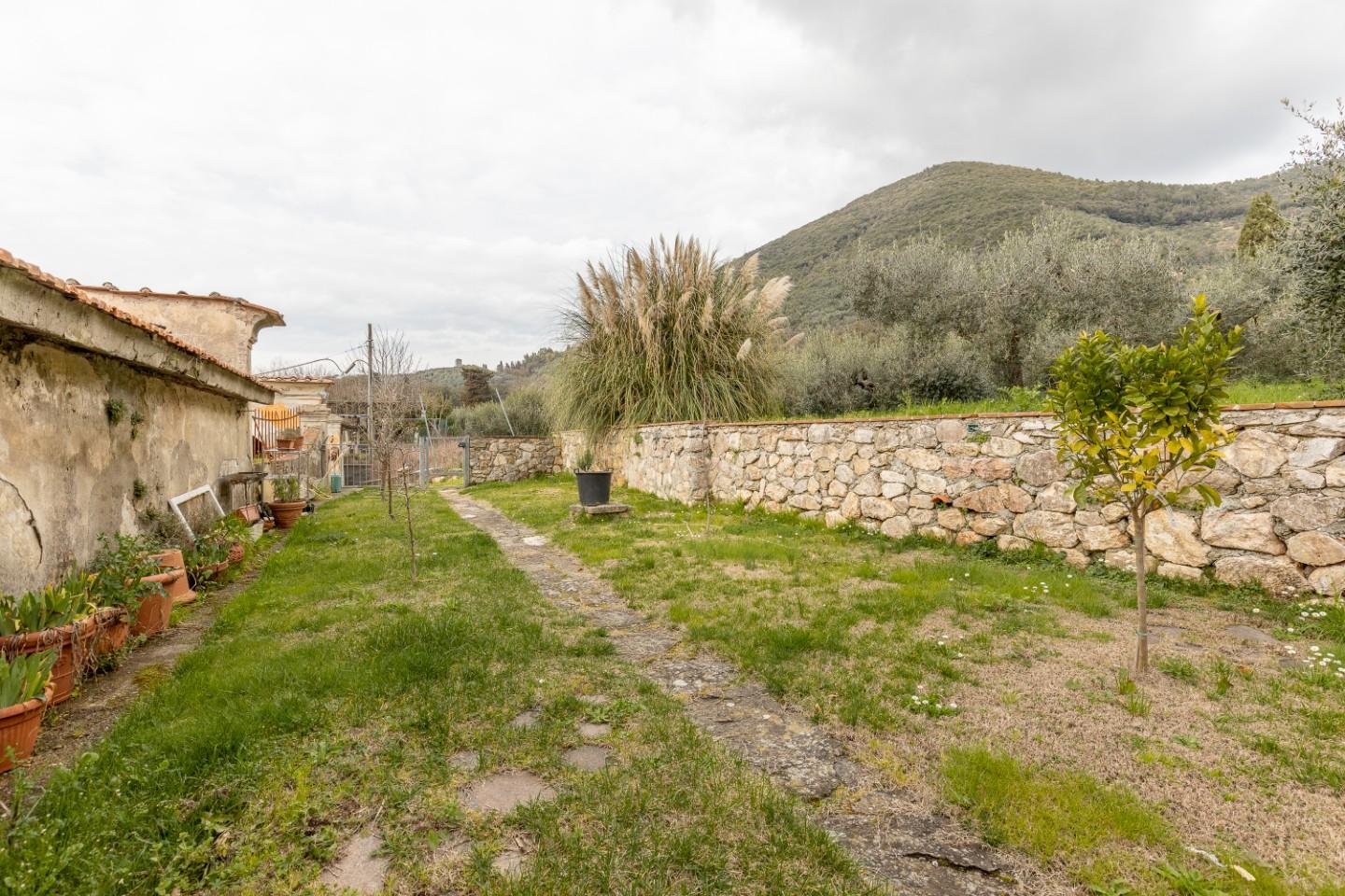 Foto annuncio 31