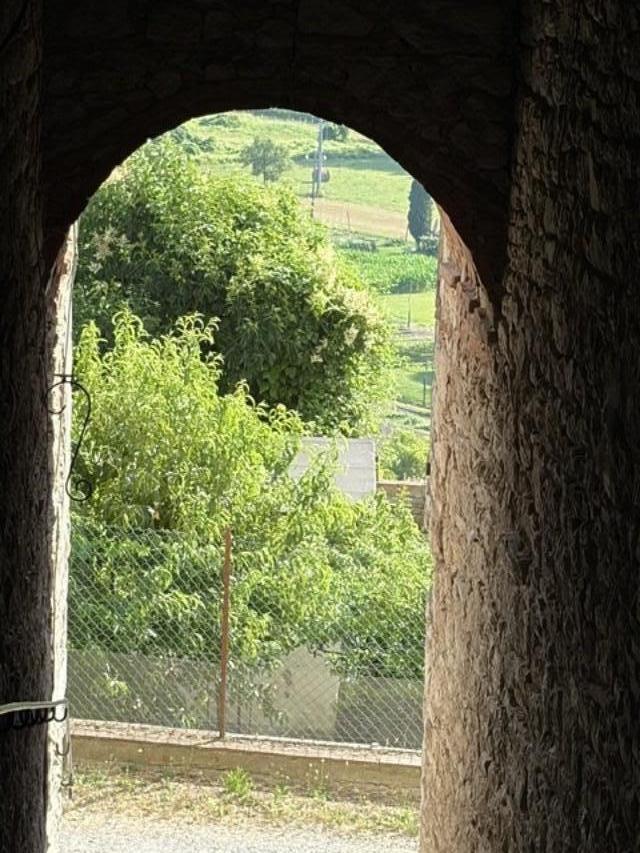 Foto annuncio 22