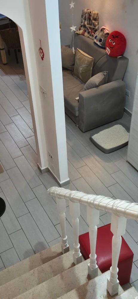 Foto annuncio 12