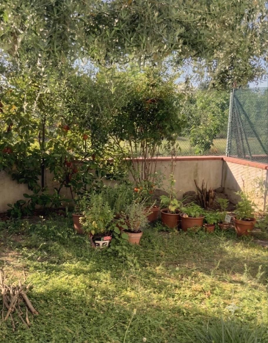 Foto annuncio 2