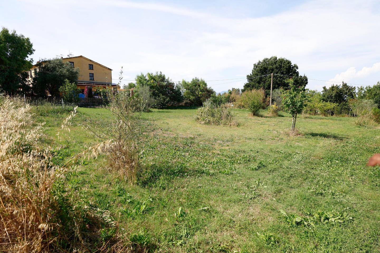 Foto annuncio 50
