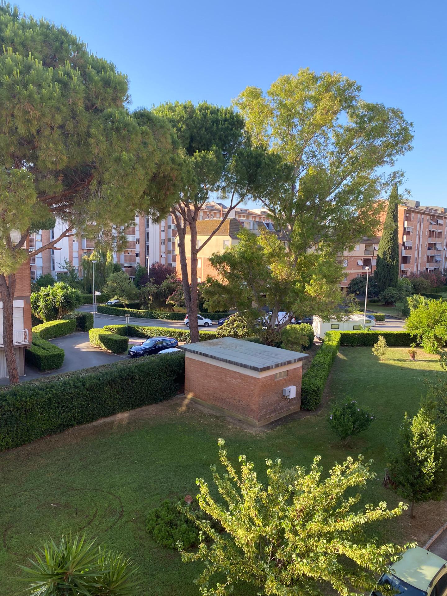 Foto annuncio 43