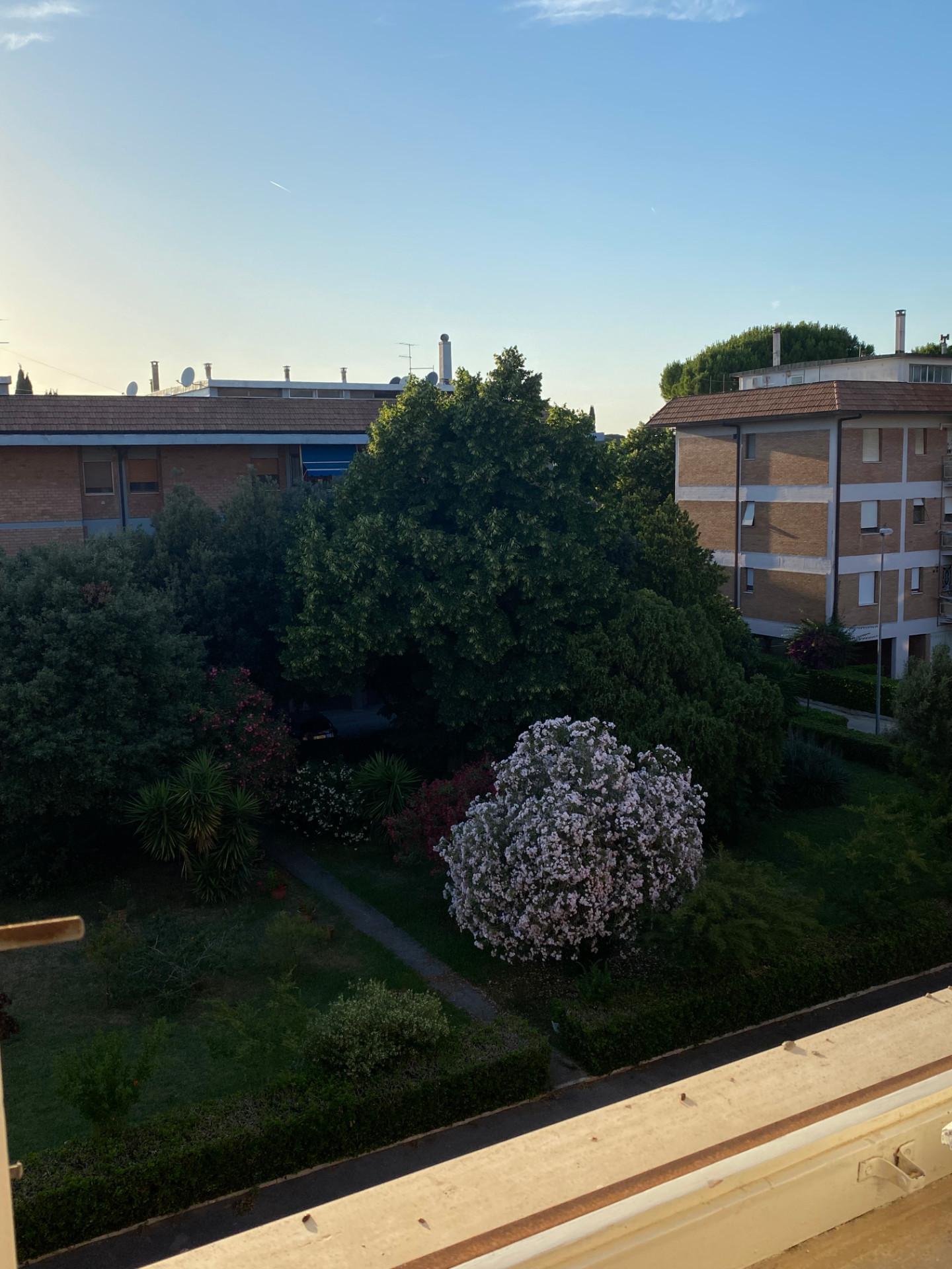 Foto annuncio 39