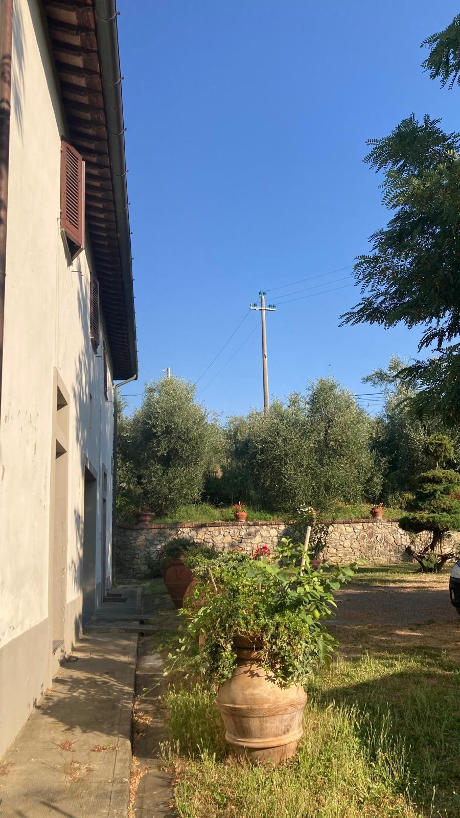 Foto annuncio 5