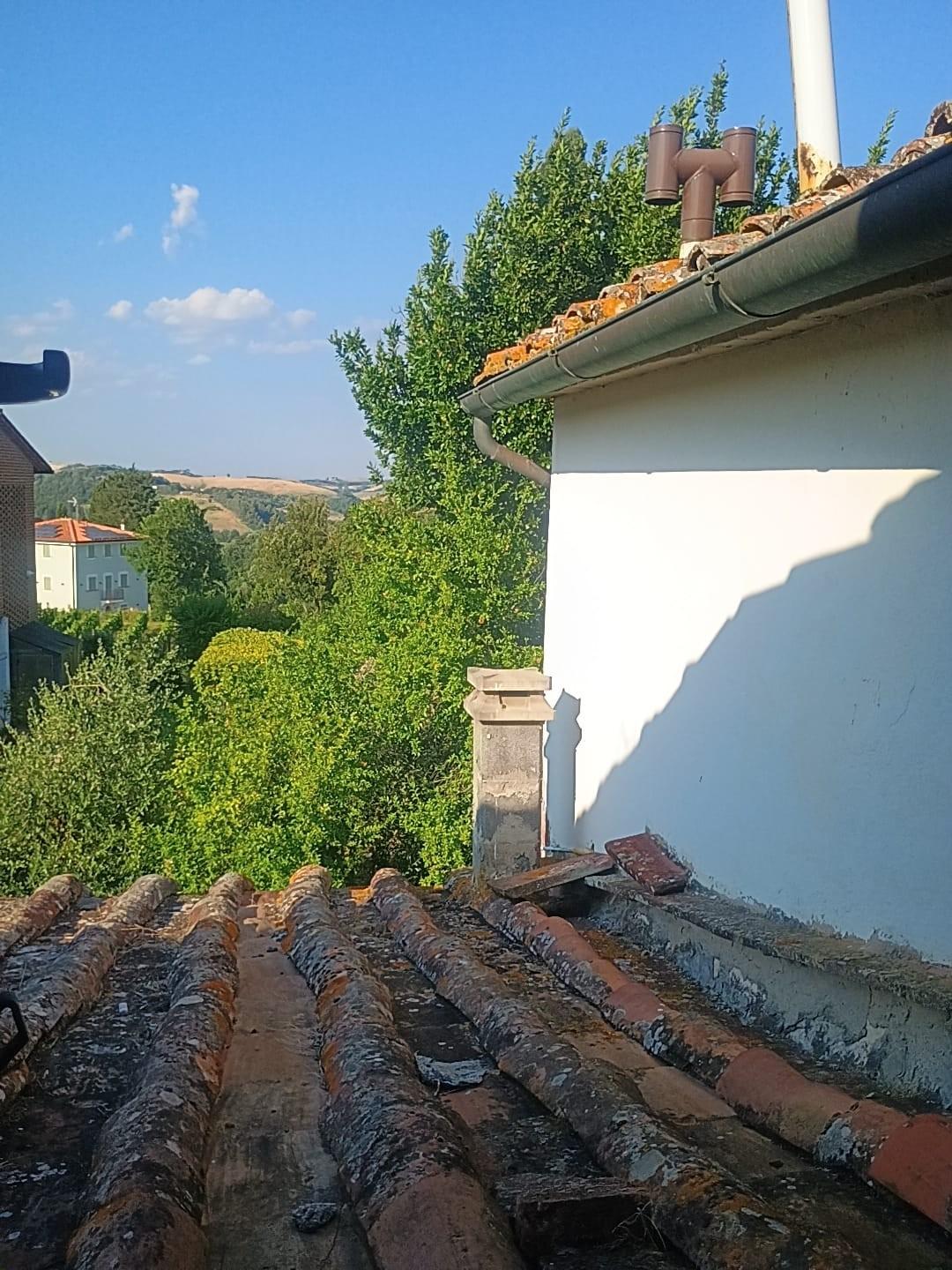 Foto annuncio 8