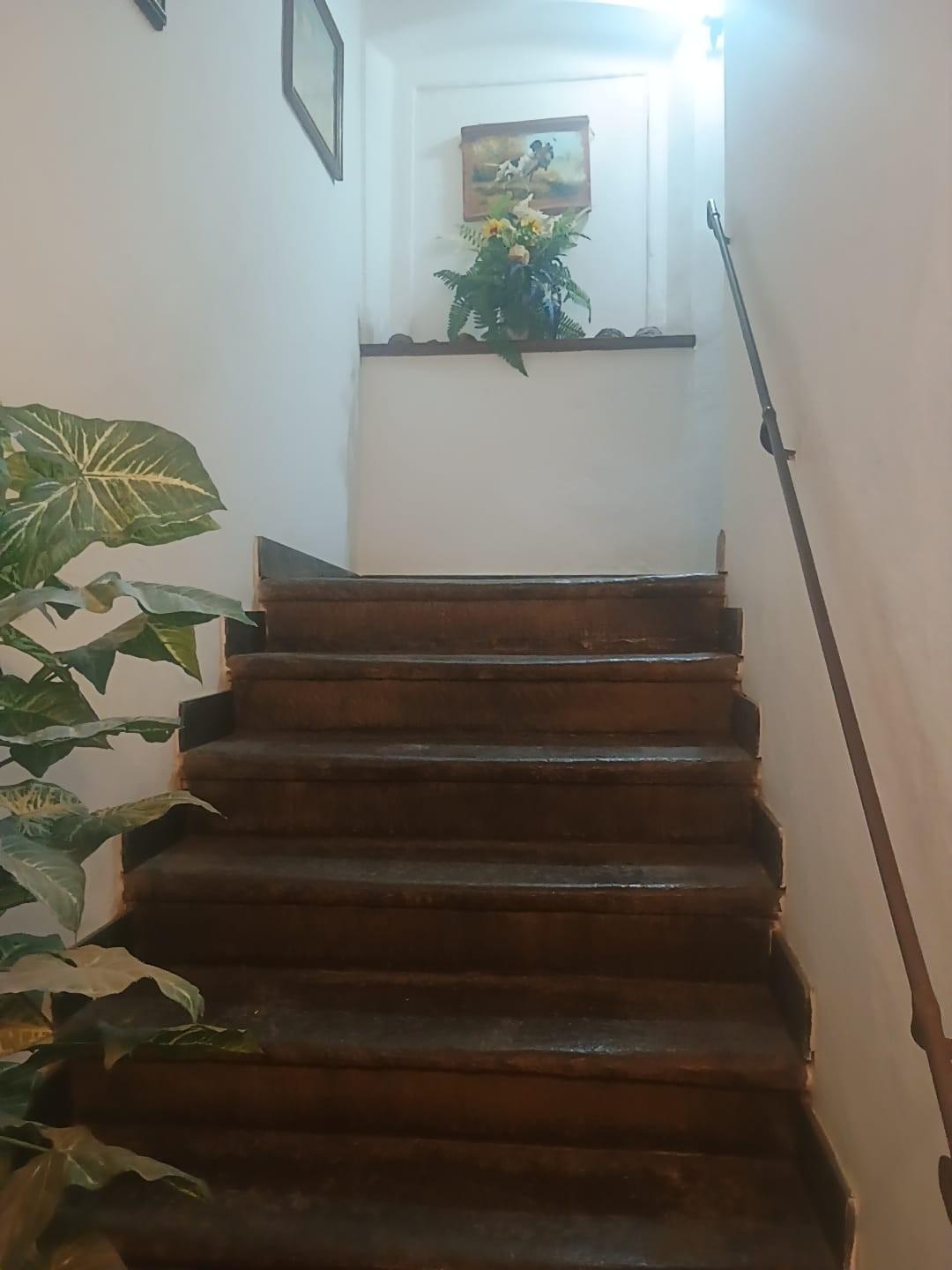 Foto annuncio 11