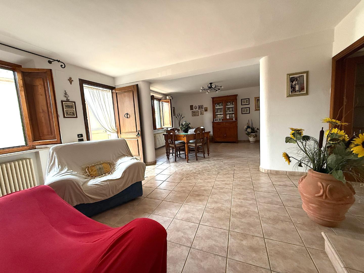 Foto annuncio 7