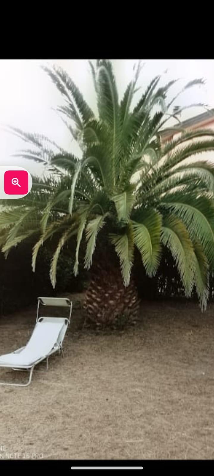 Foto annuncio 47