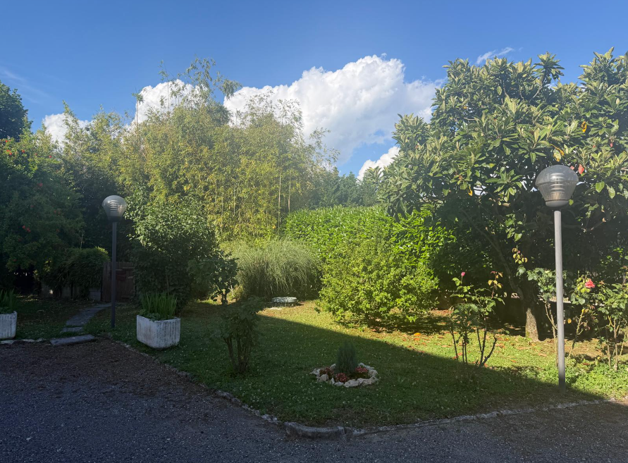 Foto annuncio 30