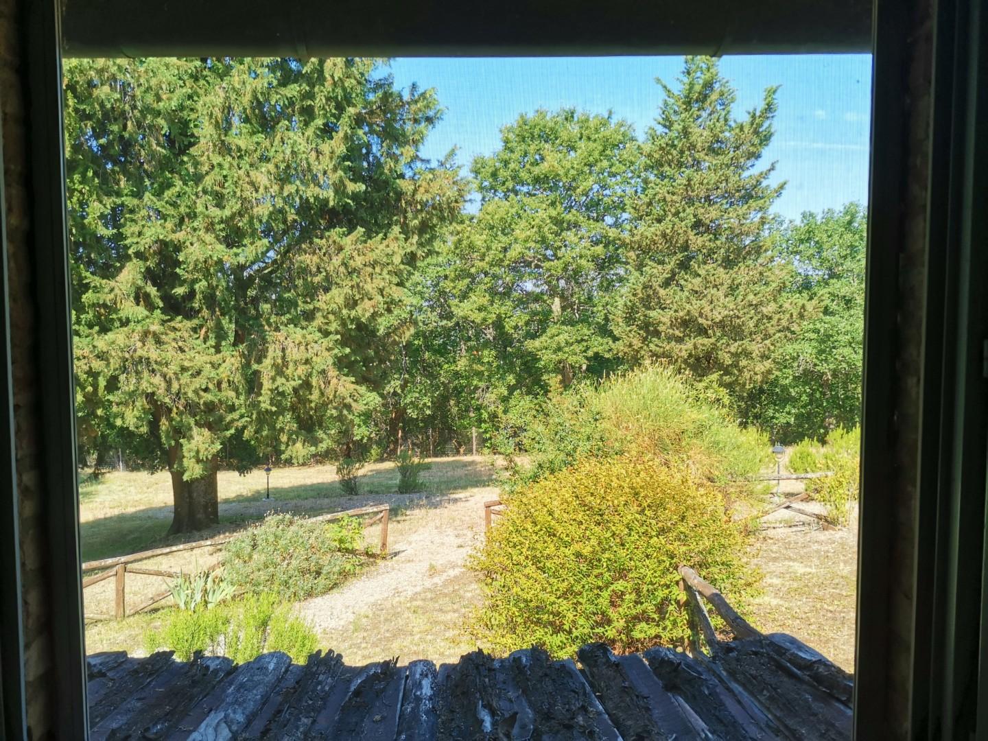 Foto annuncio 18