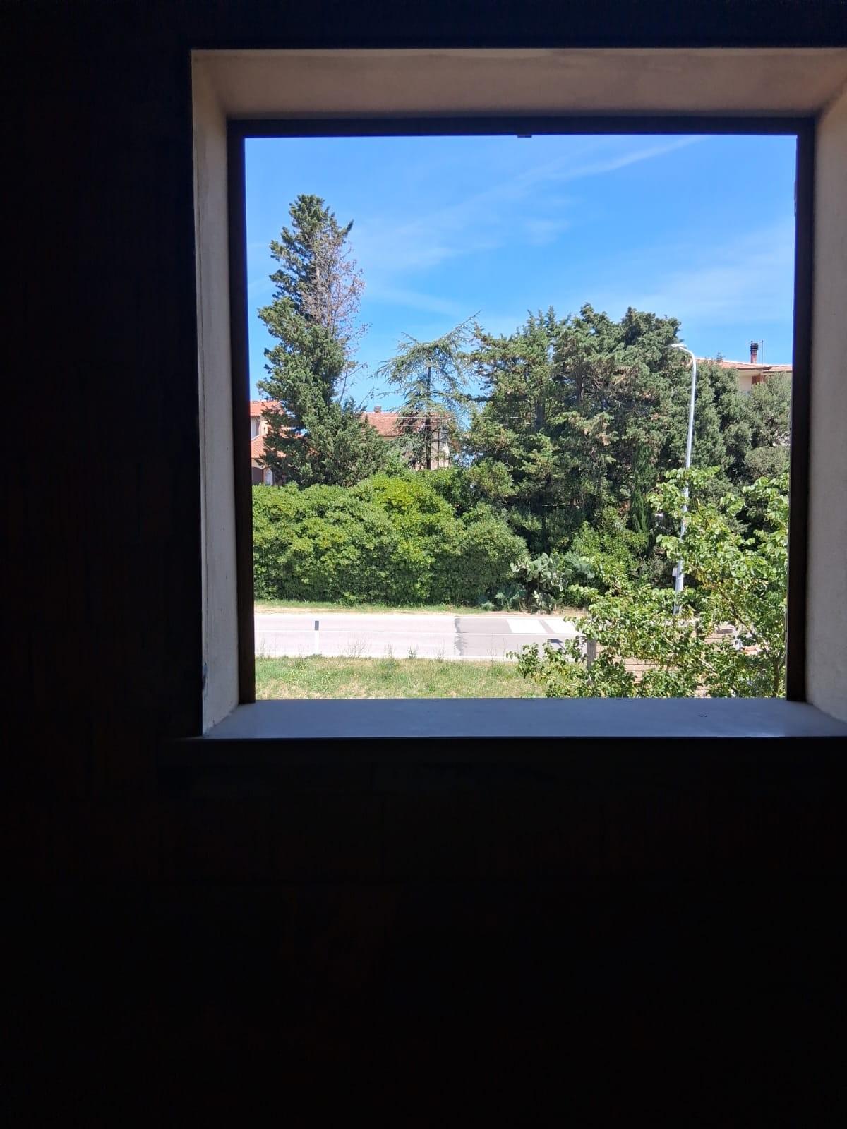 Foto annuncio 16