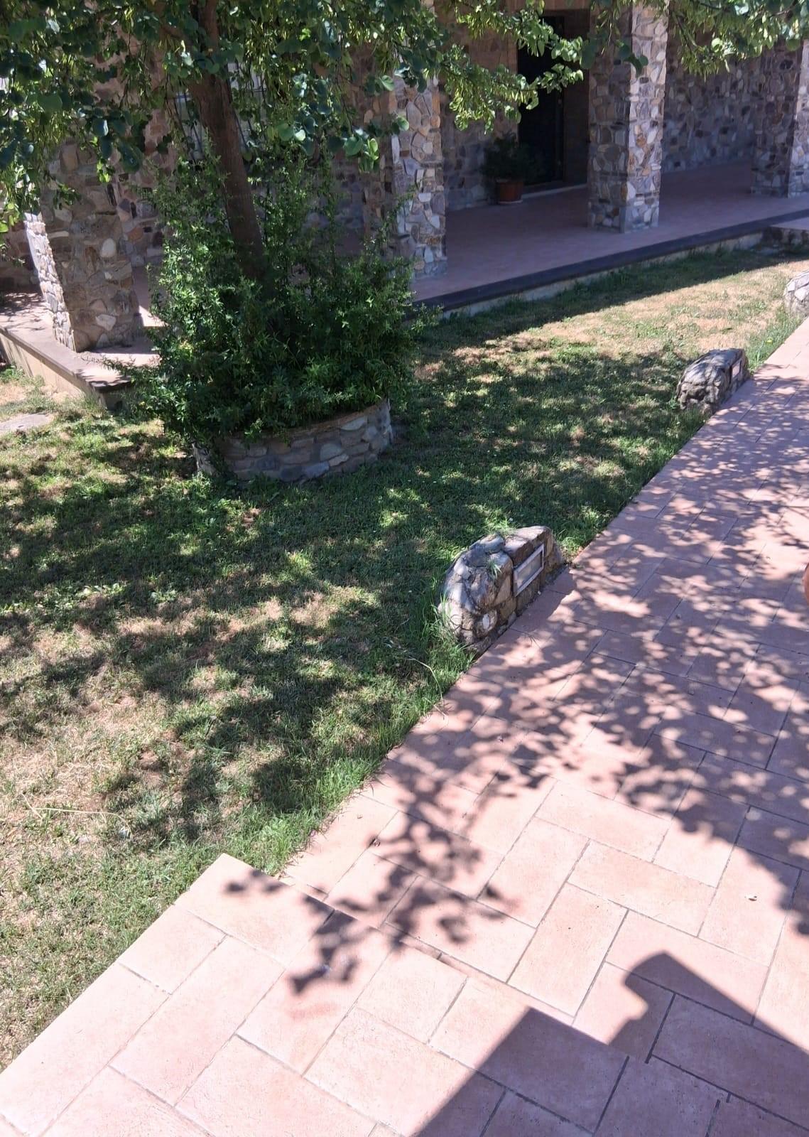 Foto annuncio 9