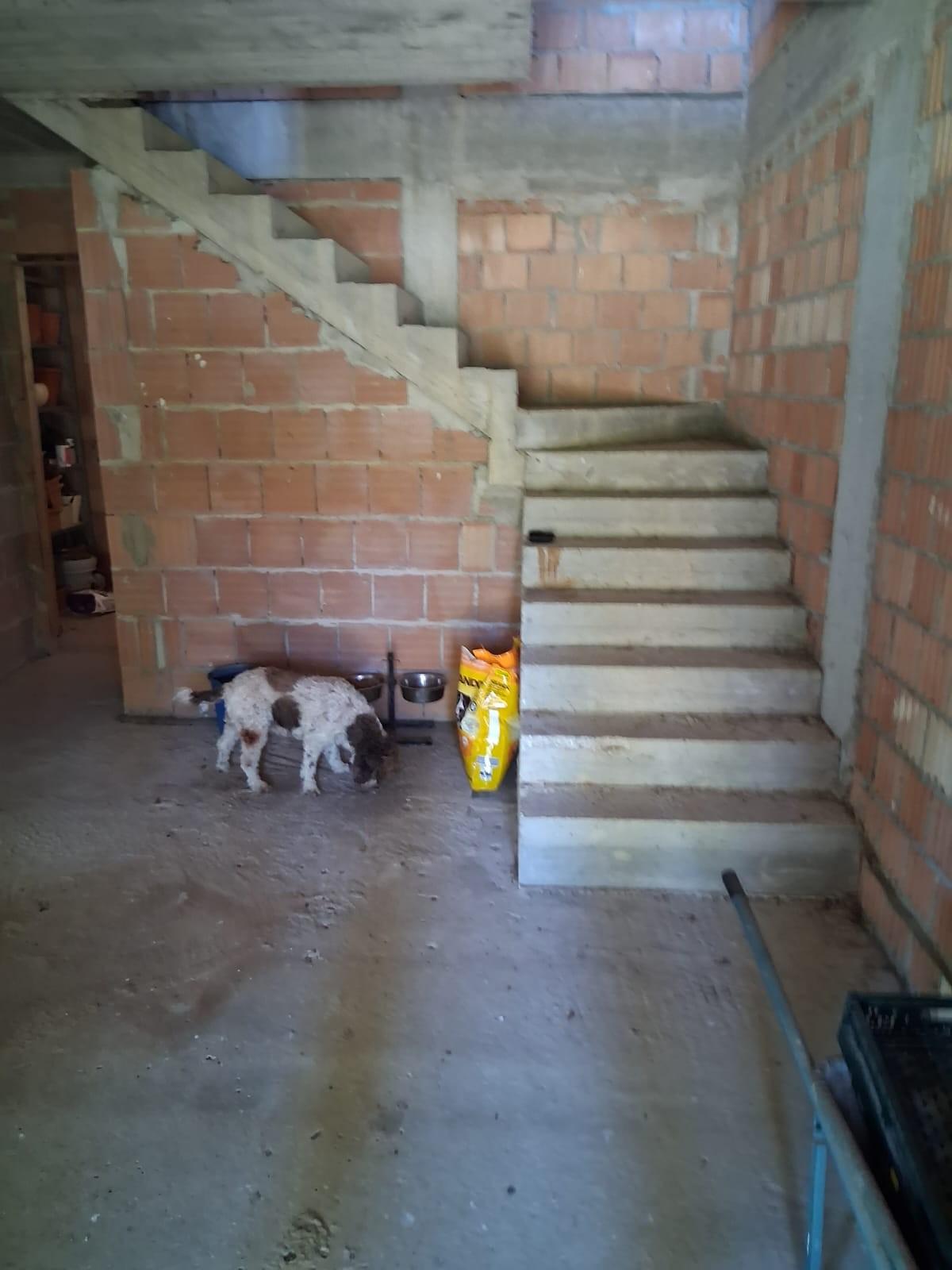 Foto annuncio 29