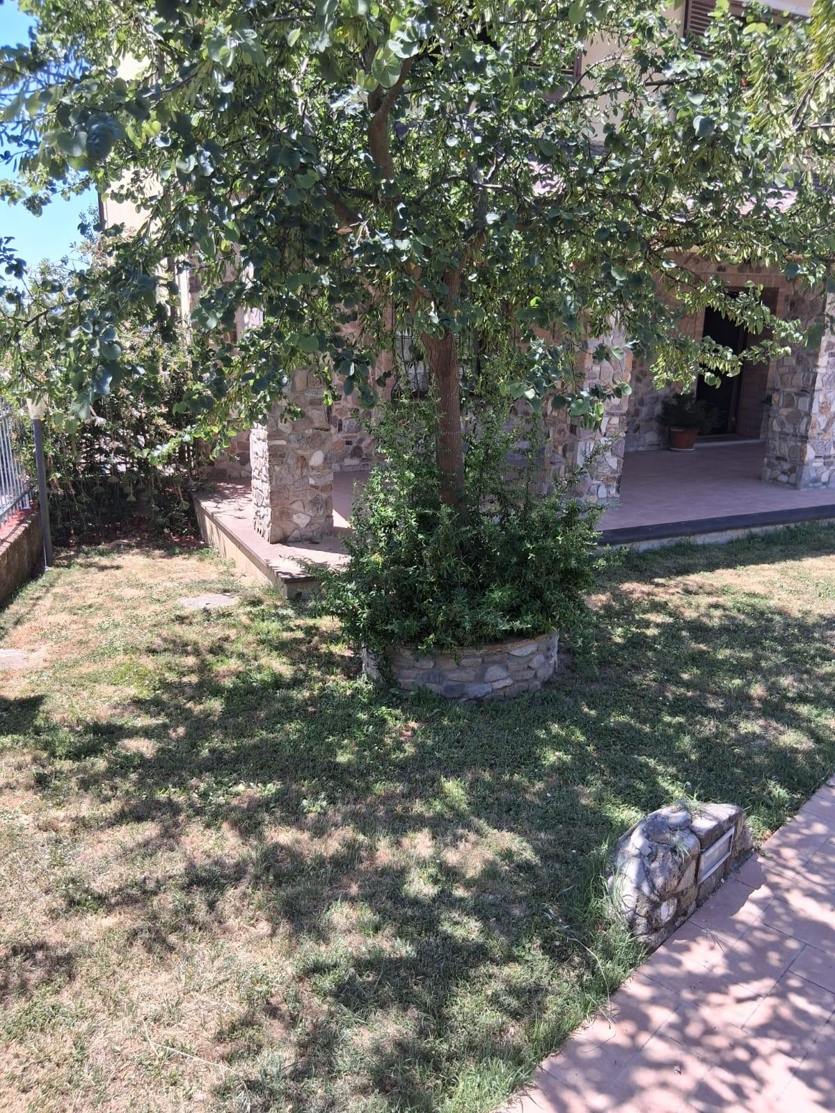 Foto annuncio 8