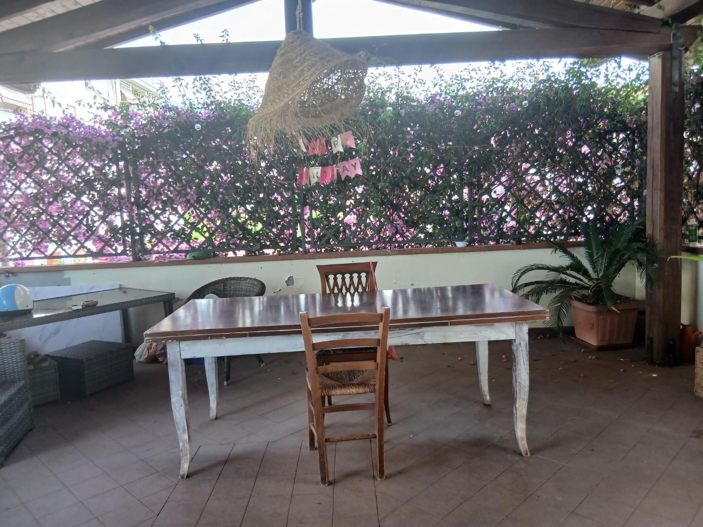 Foto annuncio 31