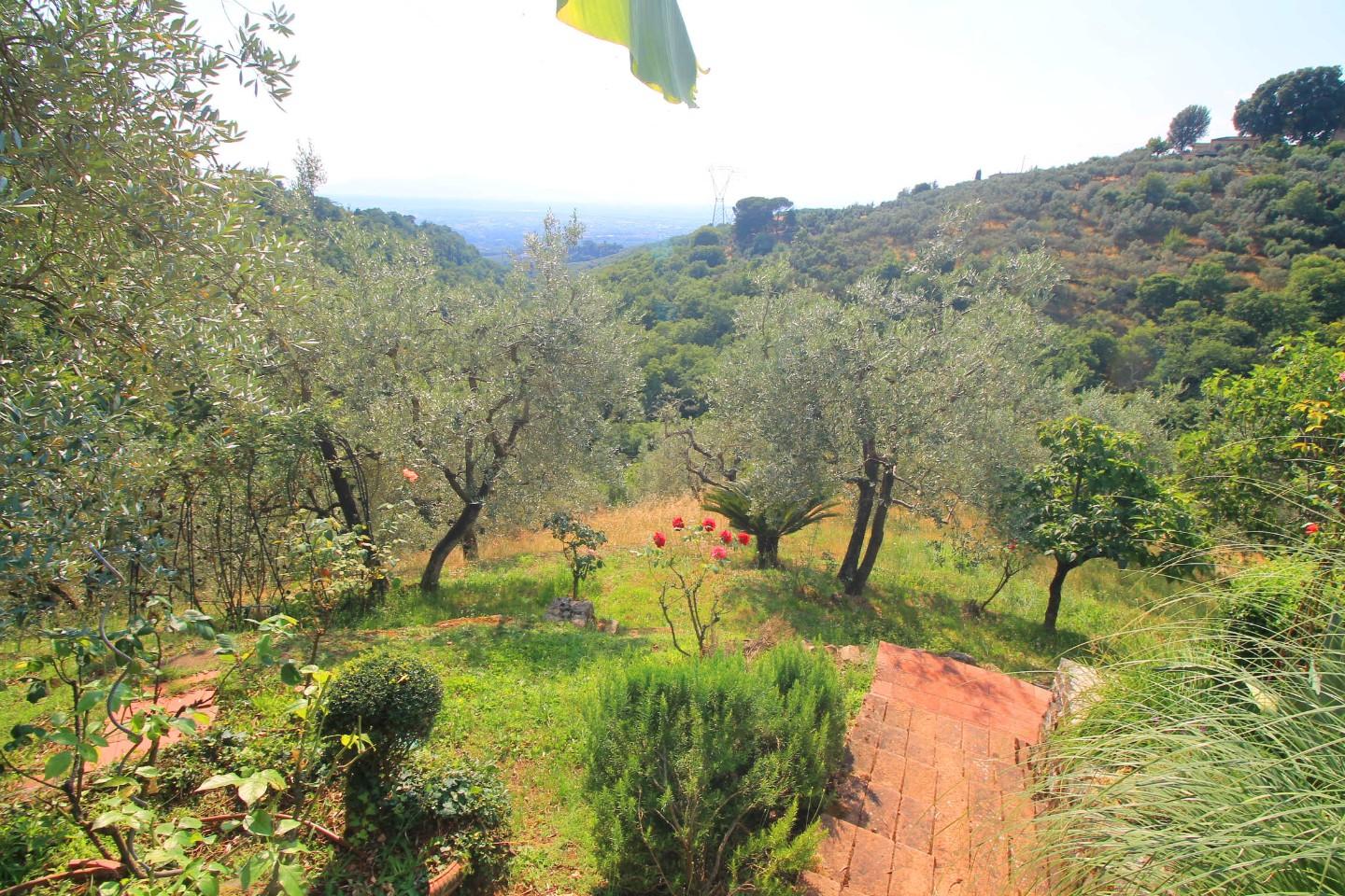 Foto annuncio 33