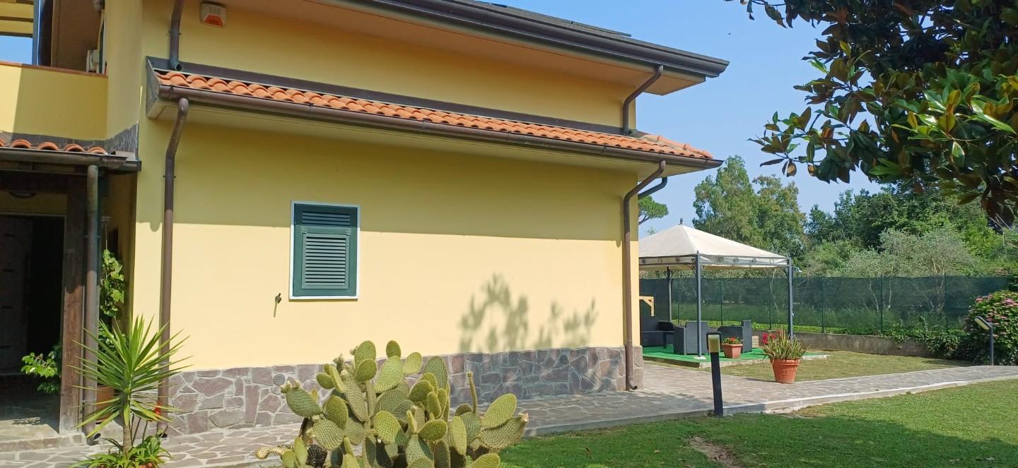 Foto annuncio 31