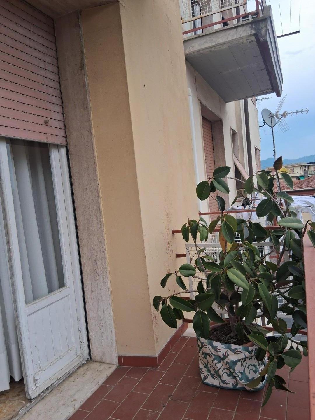Foto annuncio 6