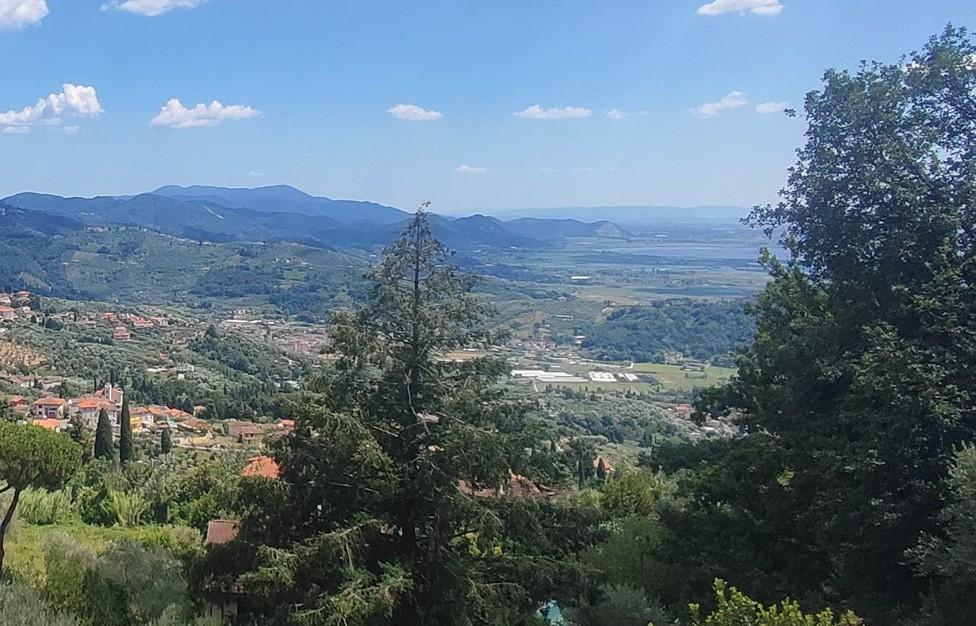 Foto annuncio 20