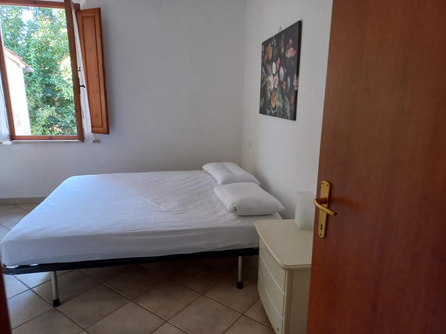 Foto annuncio 20