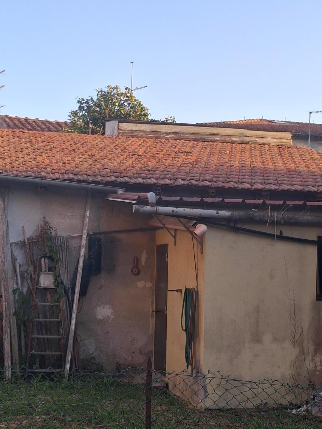 Foto annuncio 9