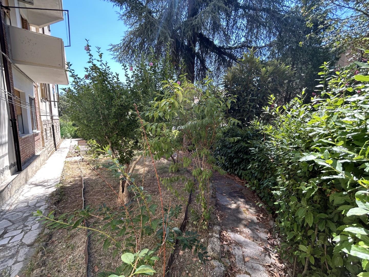 Foto annuncio 24