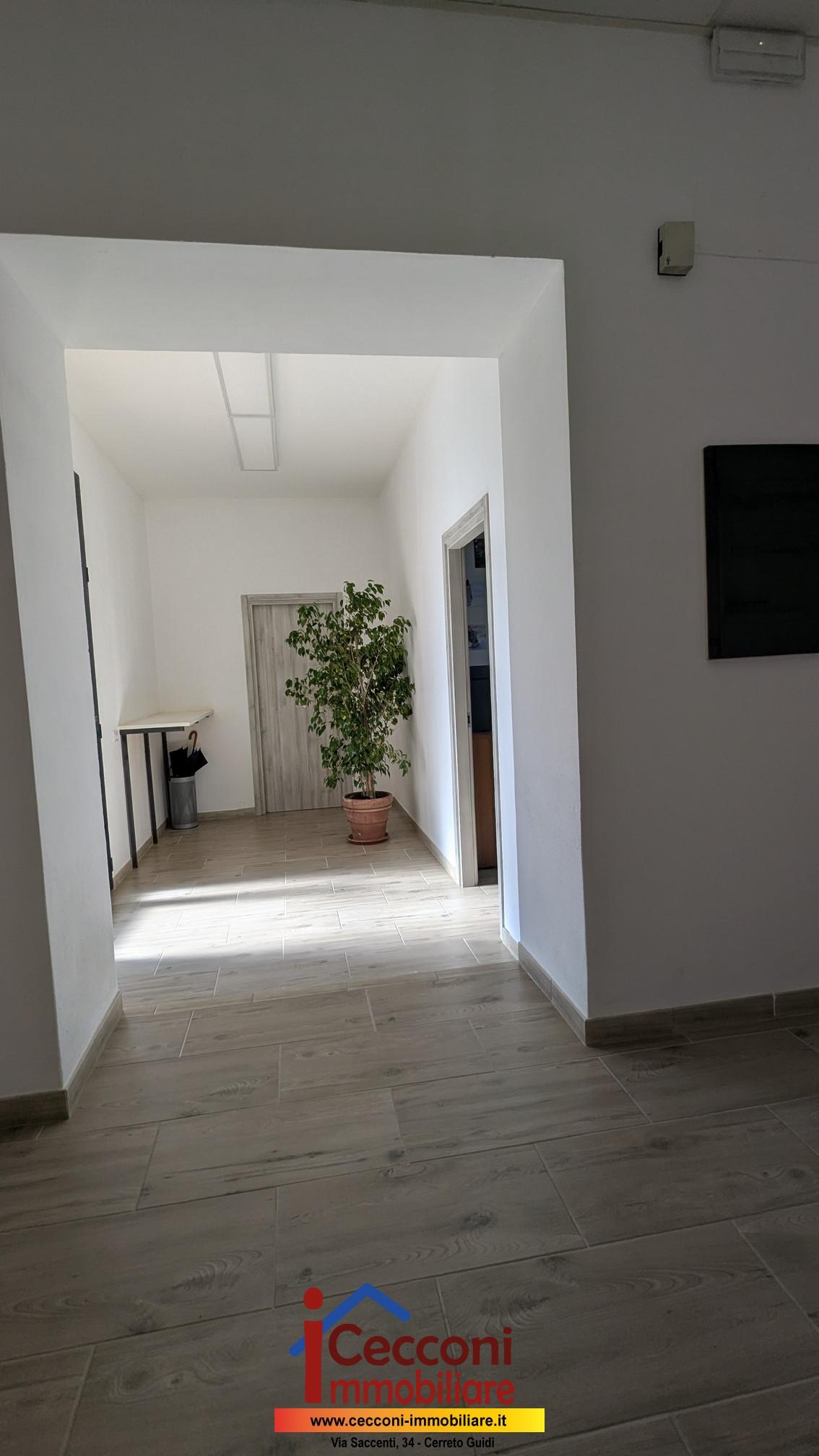 Foto annuncio 7