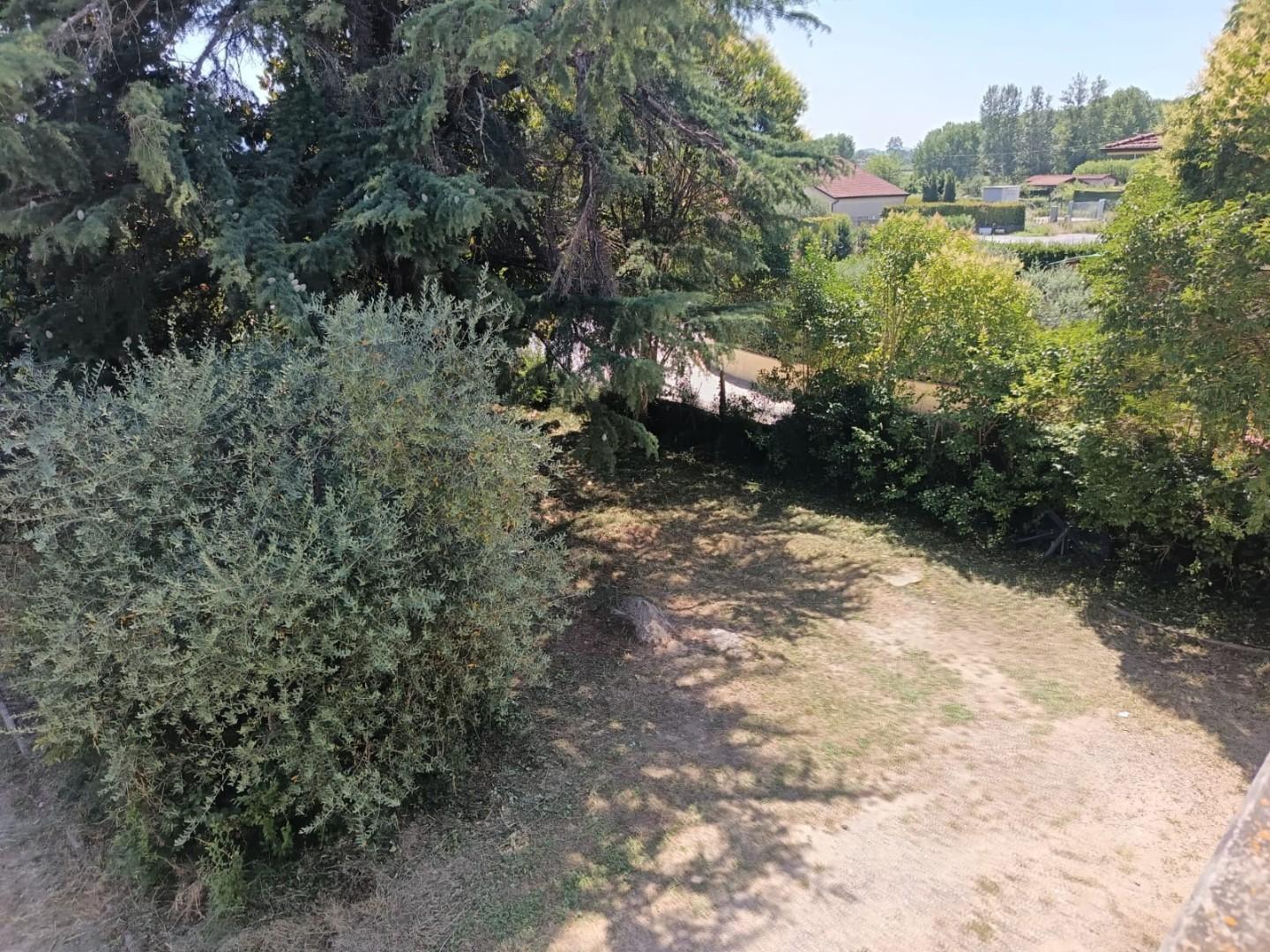 Foto annuncio 11