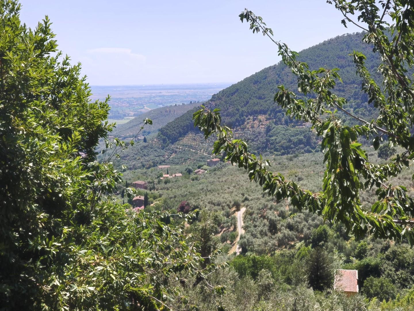 Foto annuncio 39