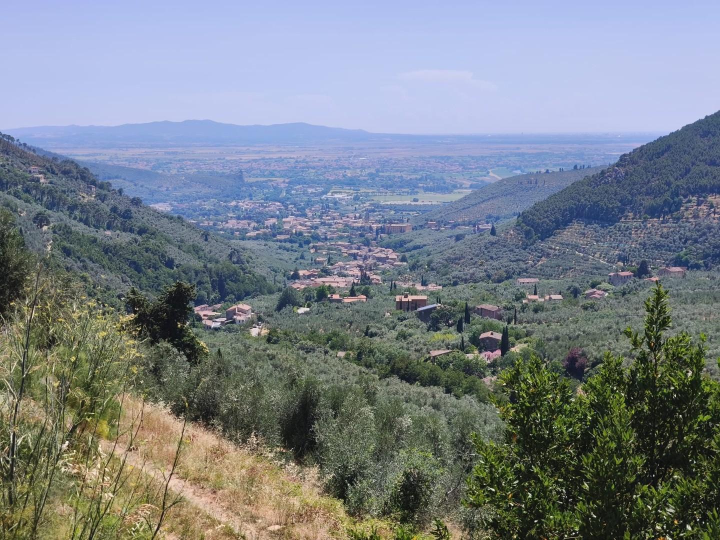 Foto annuncio 40