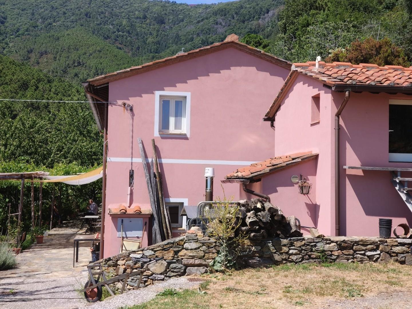 Foto annuncio 34