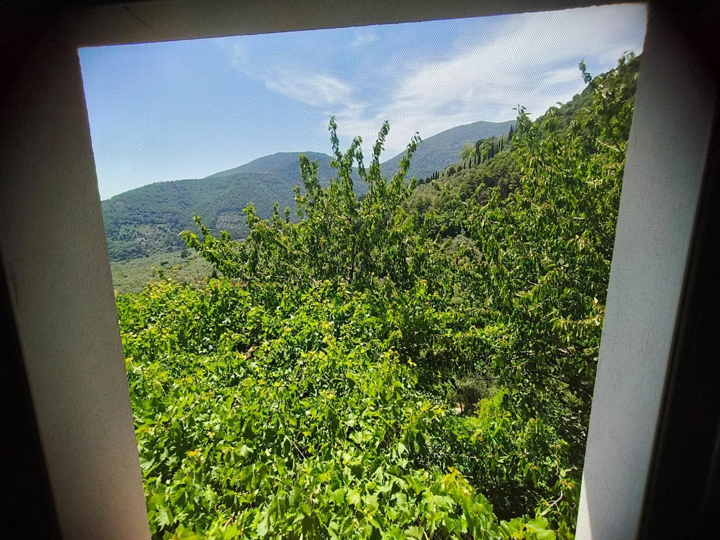 Foto annuncio 25