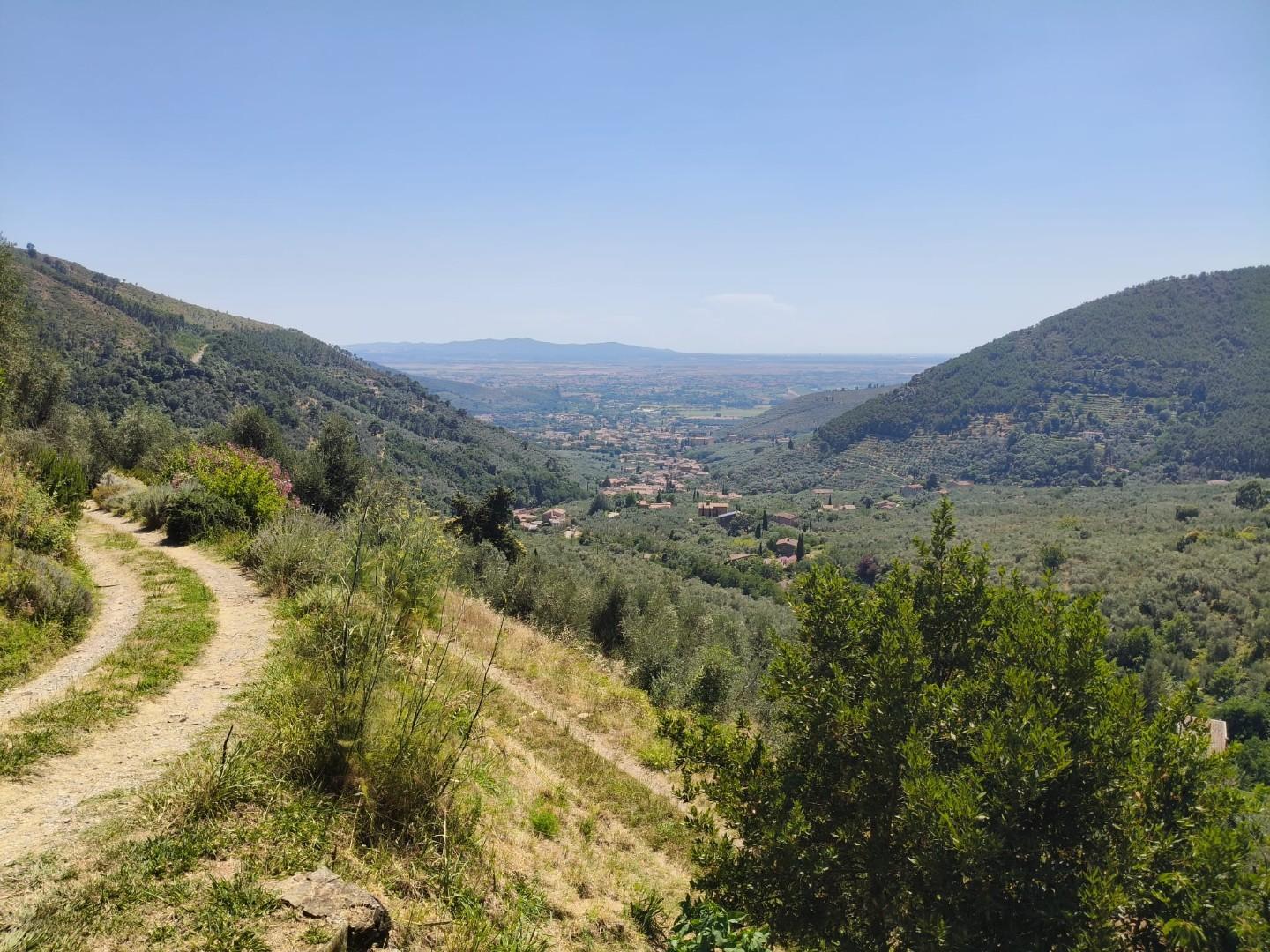 Foto annuncio 36