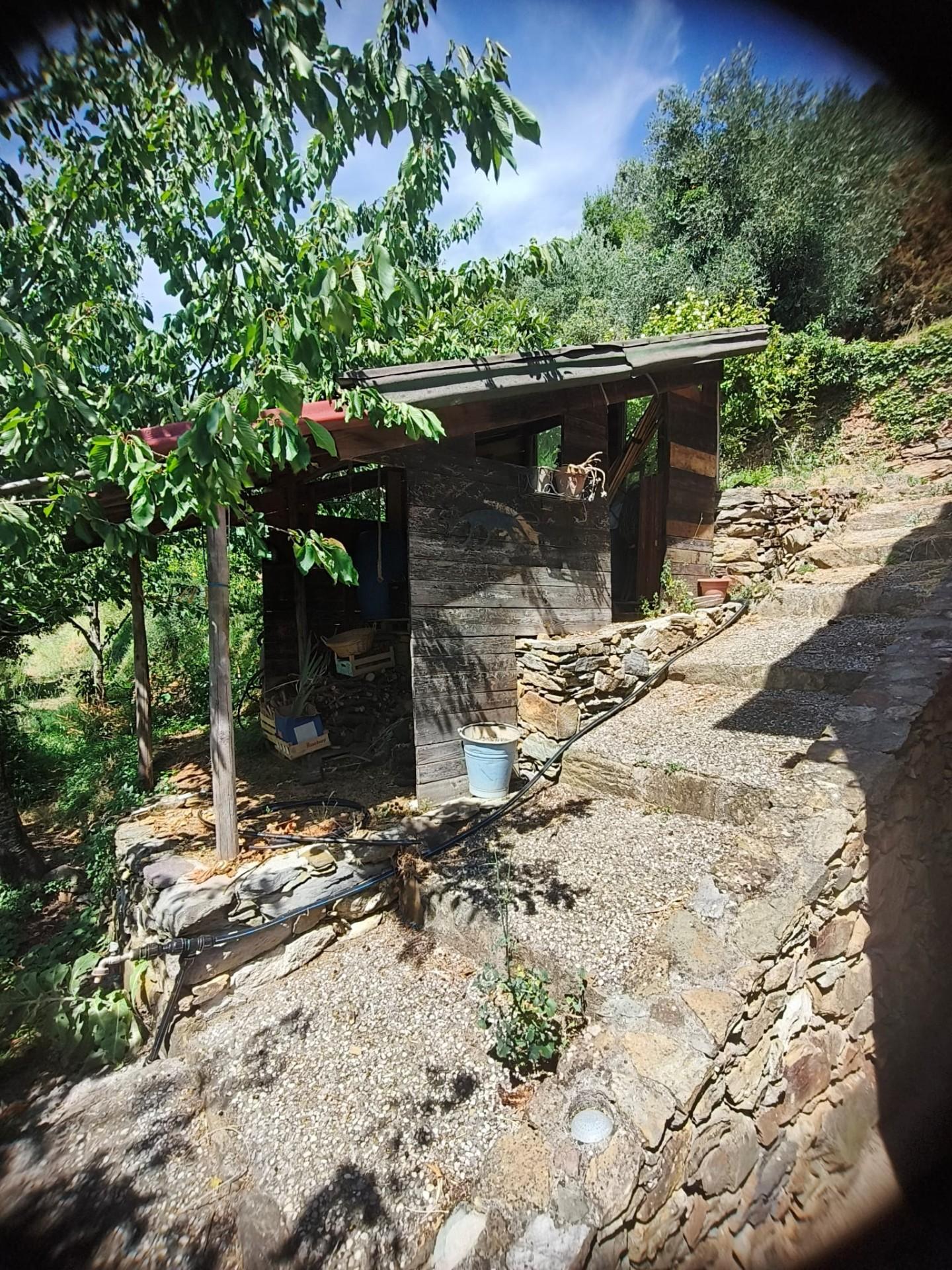 Foto annuncio 37