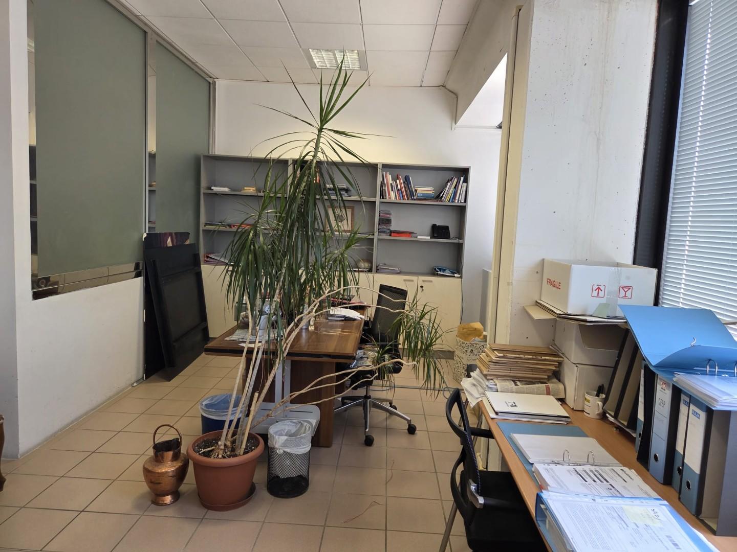Foto annuncio 5