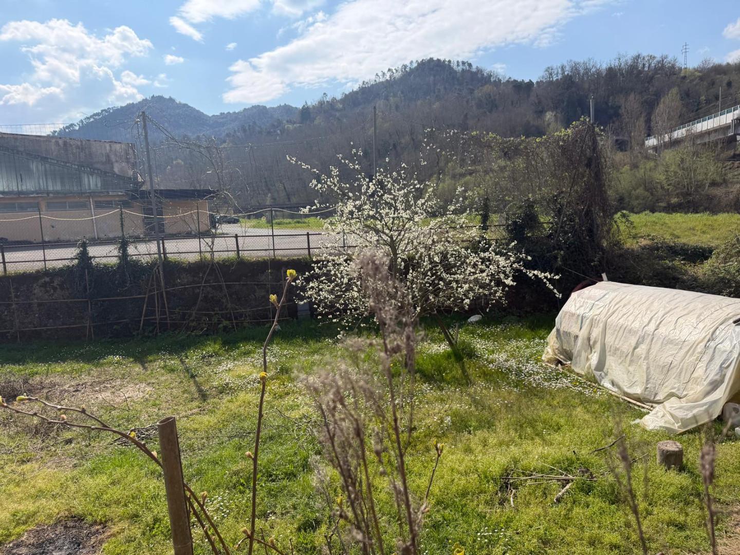 Foto annuncio 16