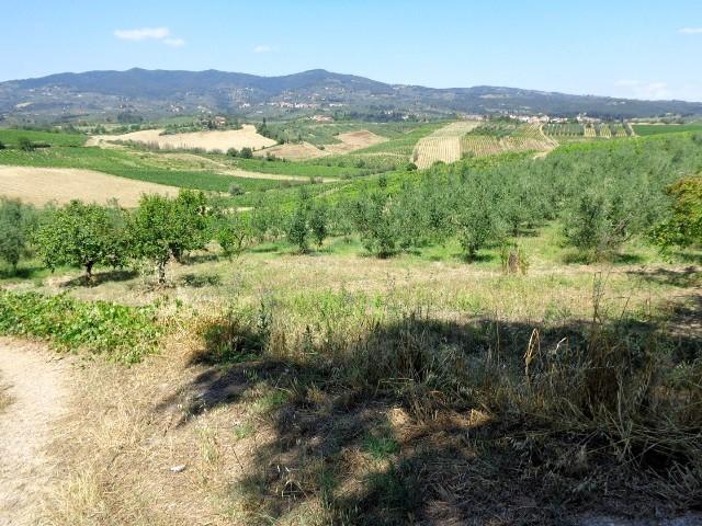 Foto annuncio 4