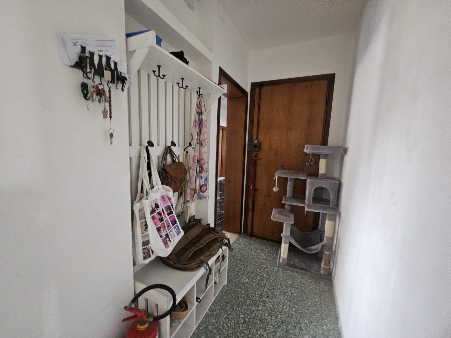 Foto annuncio 7