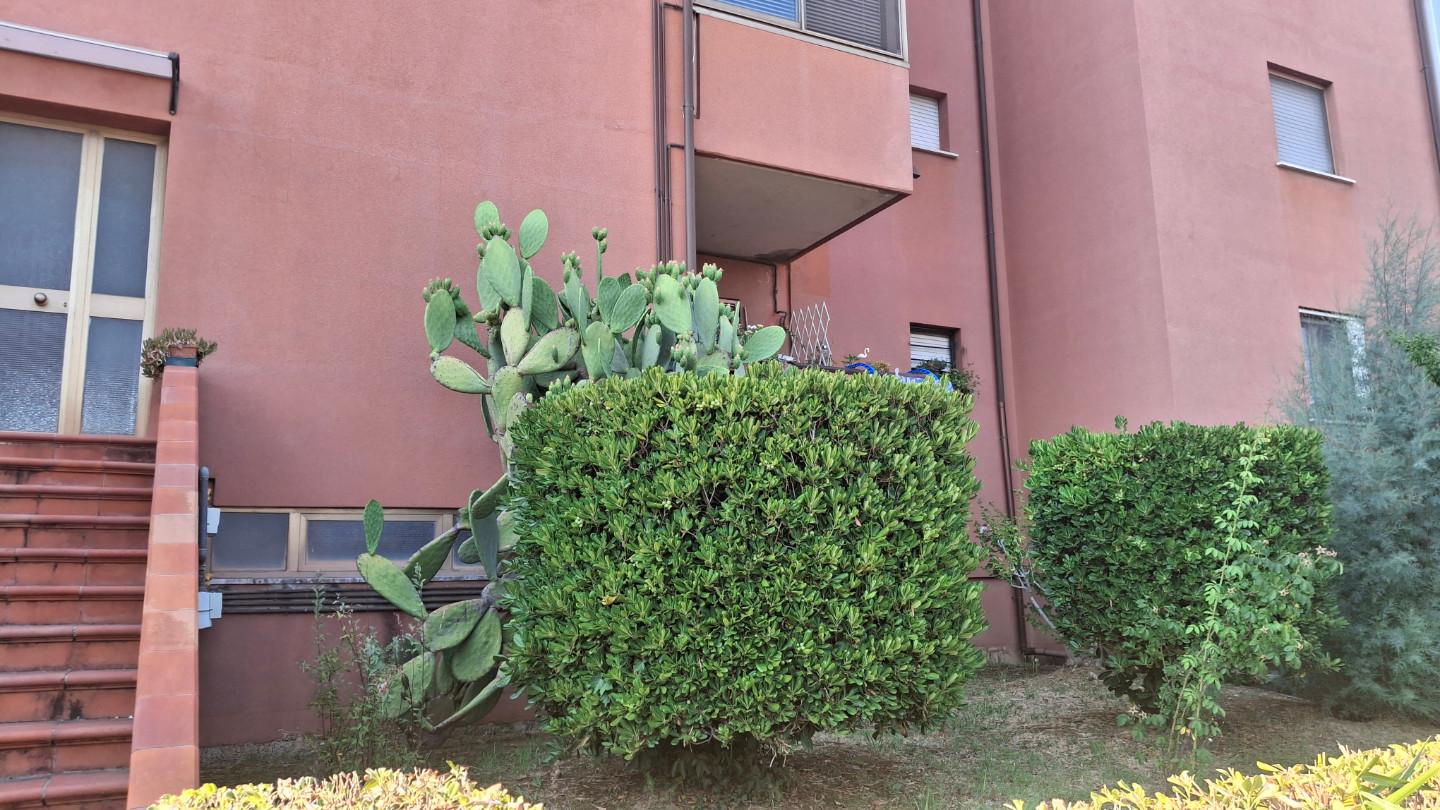 Foto annuncio 10