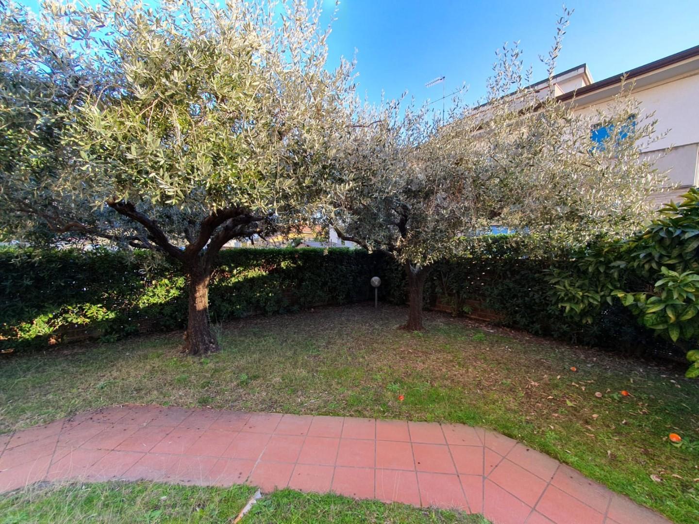 Foto annuncio 10