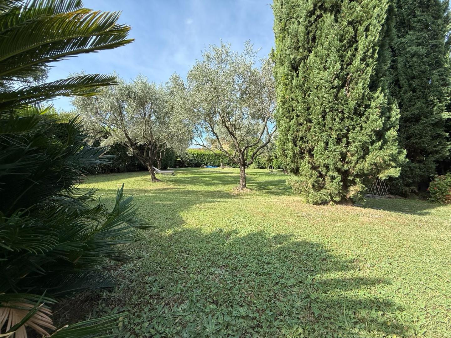 Foto annuncio 5