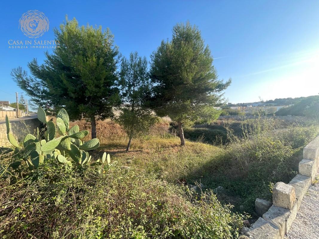 Foto annuncio 8