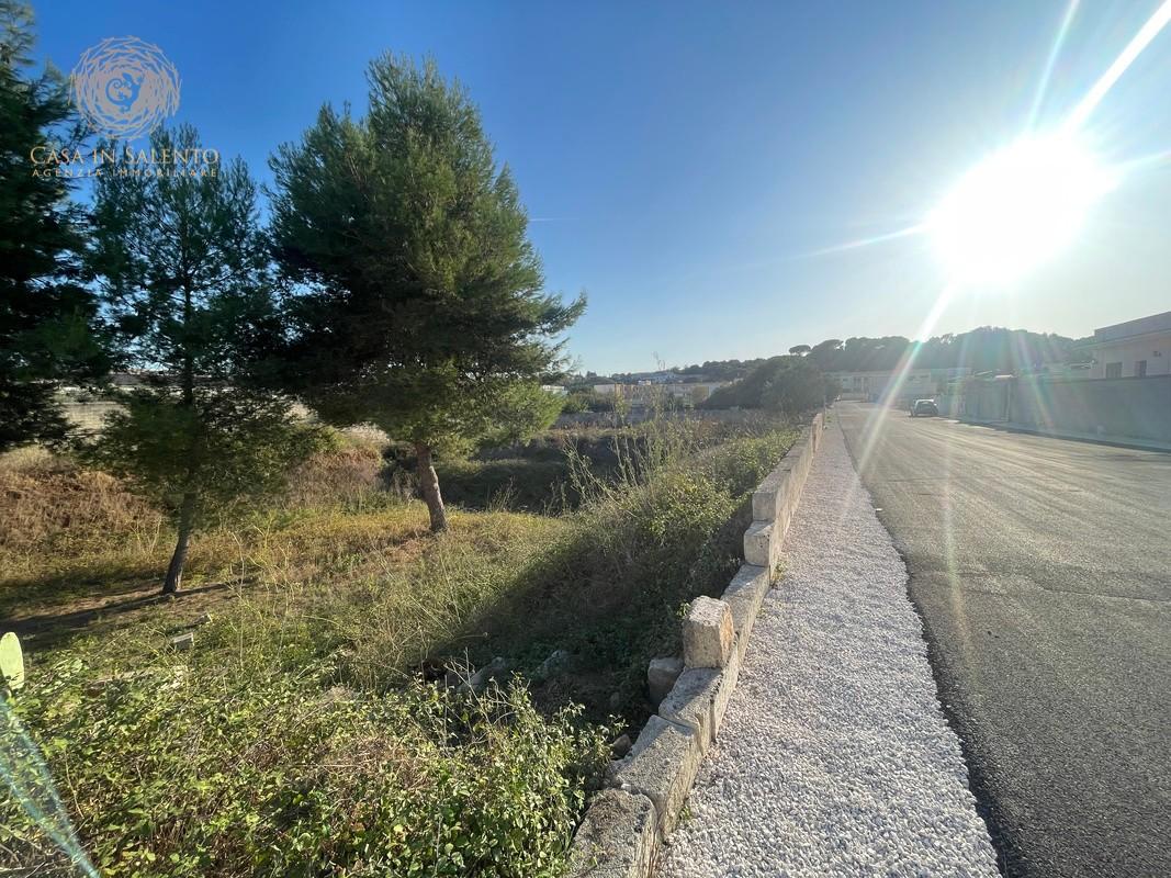 Foto annuncio 9